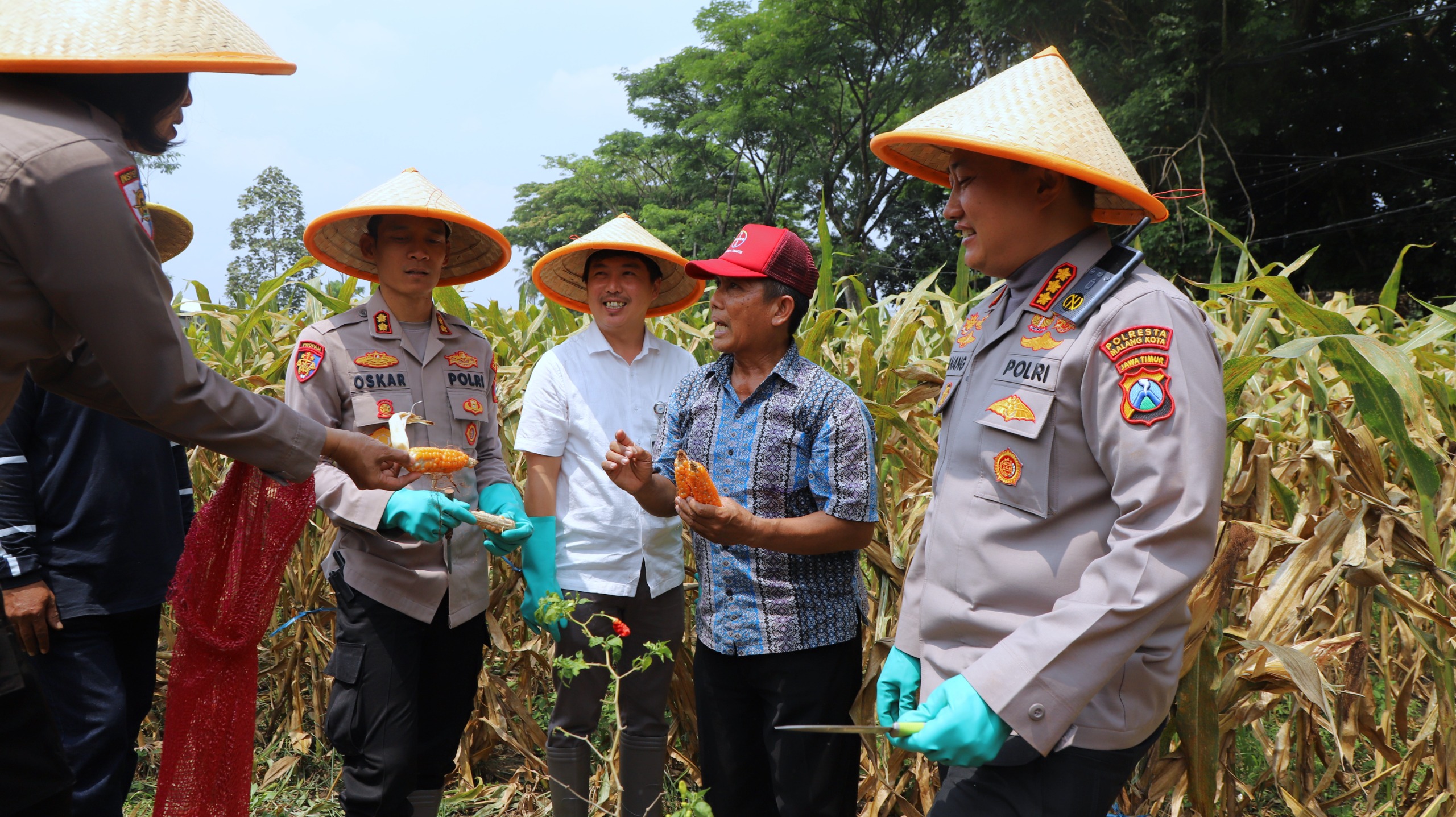 d39c4fd0-9fb6-4a8d-8232-56fb51799cf8