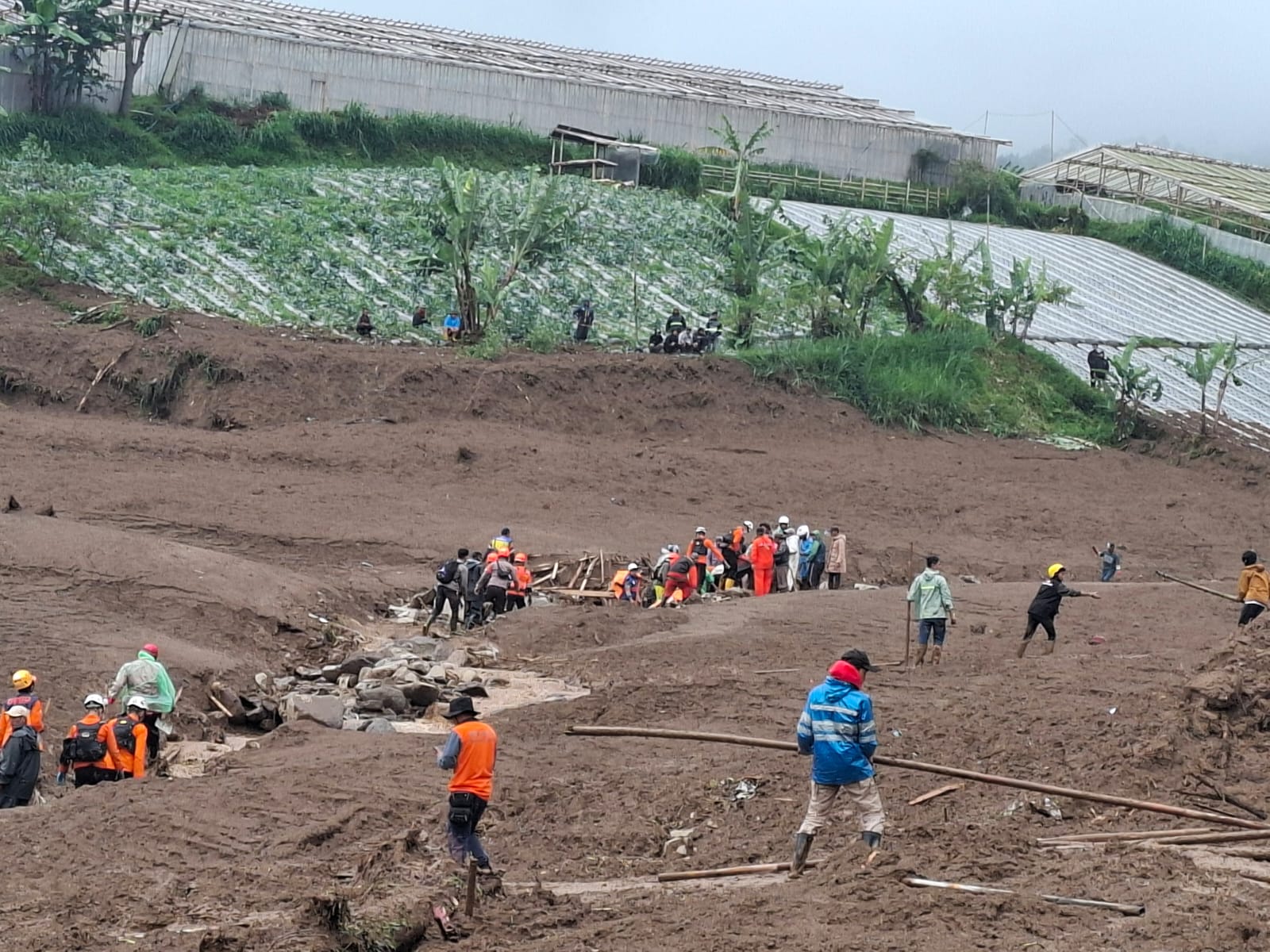 WhatsApp Image 2026-01-24 at 17.15.33