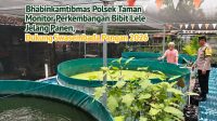 IMG-20260724-WA0009
