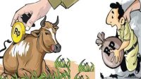 sapi bantuan