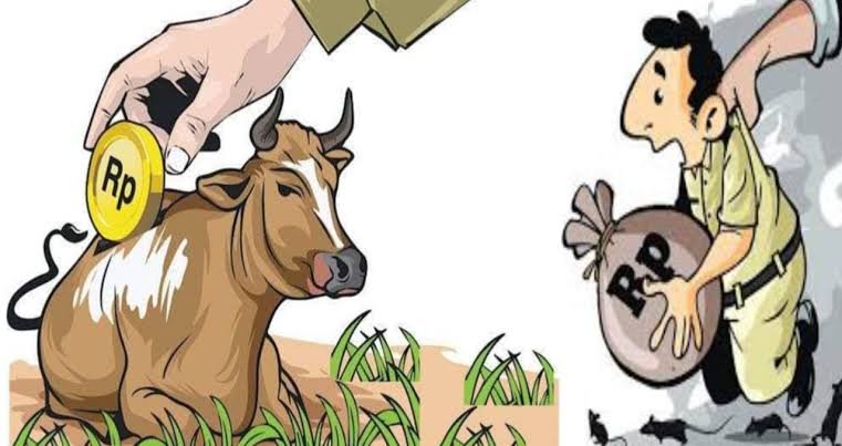 sapi bantuan