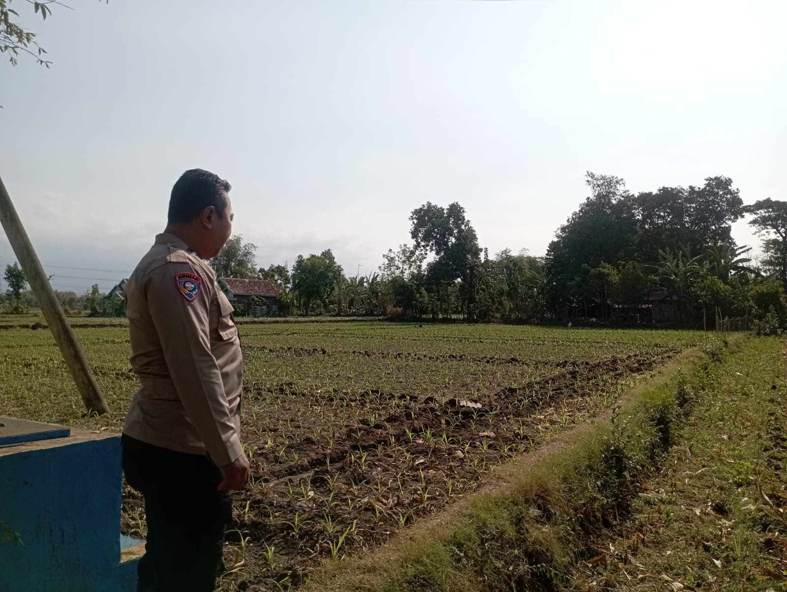 IMG-20260903-WA0022