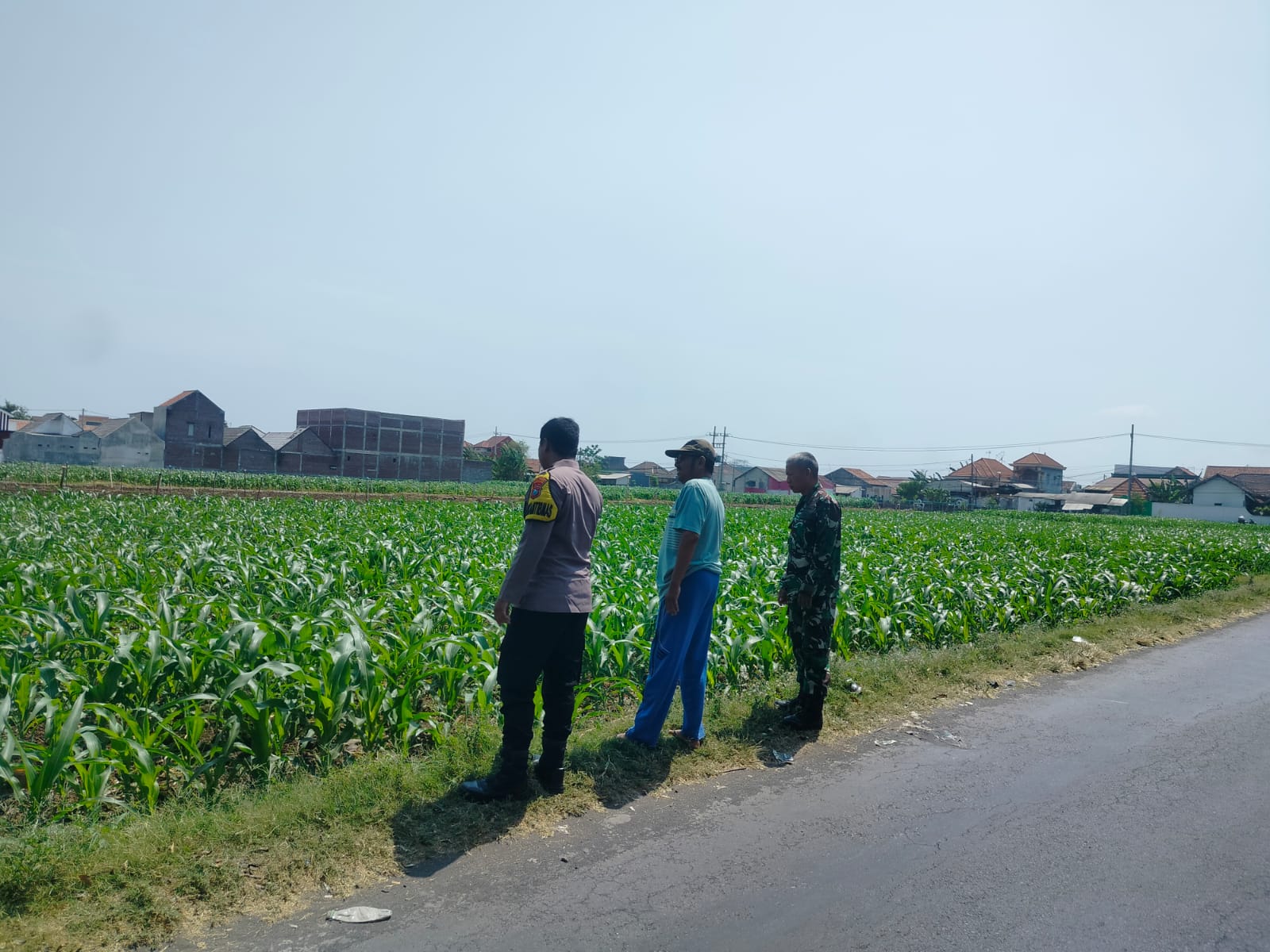 IMG-20261009-WA0013