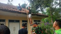 IMG-20261030-WA0020